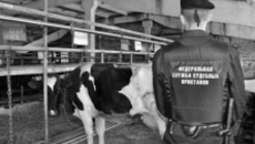 Фото пресс-службы УФССП по НСО