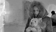 Лена отправляется в опасное путешествие (кадр из фильма)