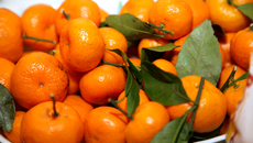 Фото Михаила ПЕРМИНА