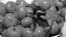 Фото Михаила ПЕРМИНА