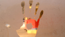 Фото Михаила ПЕРМИНА