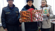 Фото предоставлены ГУ МЧС по НСО 