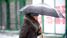 Фото Михаила ПЕРМИНА