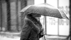 Фото Михаила ПЕРМИНА