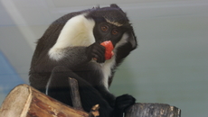 Фото Аркадия УВАРОВА