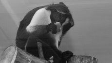 Фото Аркадия УВАРОВА