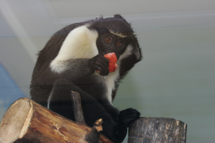 Фото Аркадия УВАРОВА