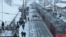 Фото Михаила ПЕРМИНА