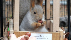 Фото пресс-службы Новосибирского зоопарка