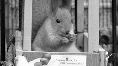 Фото пресс-службы Новосибирского зоопарка