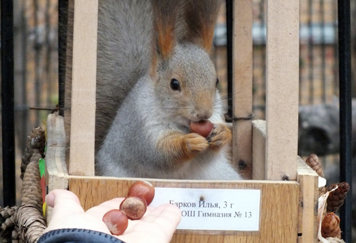 Фото пресс-службы Новосибирского зоопарка