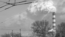 Фото Михаила ПЕРМИНА