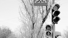 Фото Михаила ПЕРМИНА