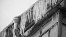 Фото Михаила ПЕРМИНА