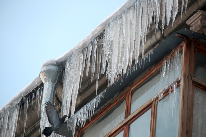 Фото Михаила ПЕРМИНА