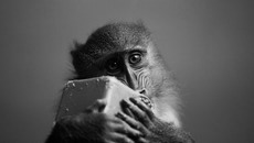 Элвиса воспитали сотрудники Новосибирского зоопарка