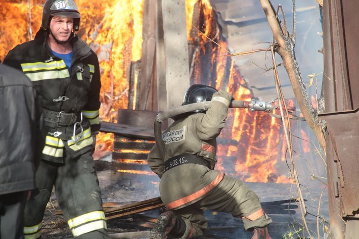 Фото Михаила ПЕРМИНА