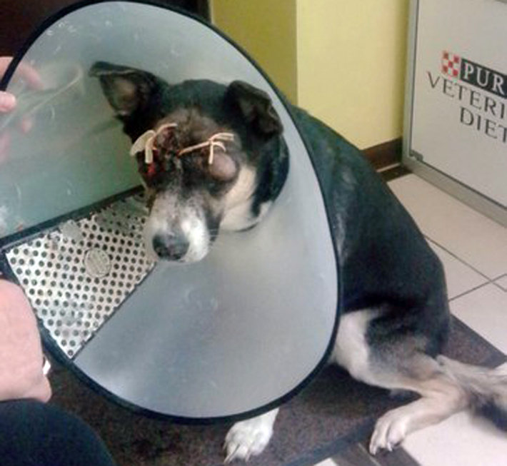 Фото Грея предоставлено Анной Массальд