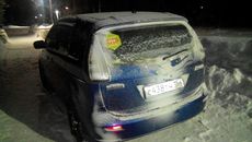 Фото предоставлены ГУ МВД по НСО