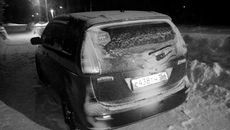 Фото предоставлены ГУ МВД по НСО