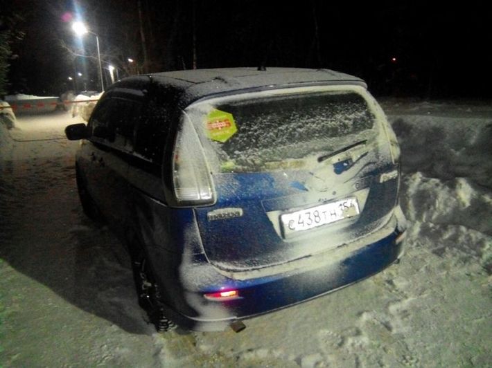 Фото предоставлены ГУ МВД по НСО