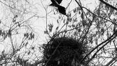 Фото Игоря ВОЛОШИНА 