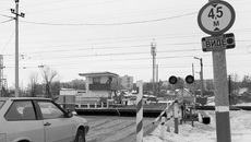 Фото предоставлено ГИБДД Новосибирска