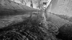 Фото Михаила ПЕРМИНА