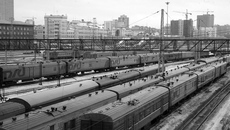 Фото Михаила ПЕРМИНА