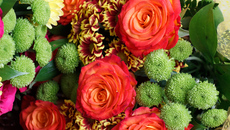 Фото Аркадия УВАРОВА