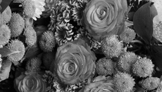 Фото Аркадия УВАРОВА