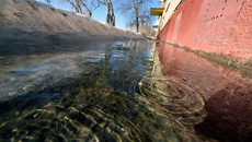 Фото Михаила ПЕРМИНА