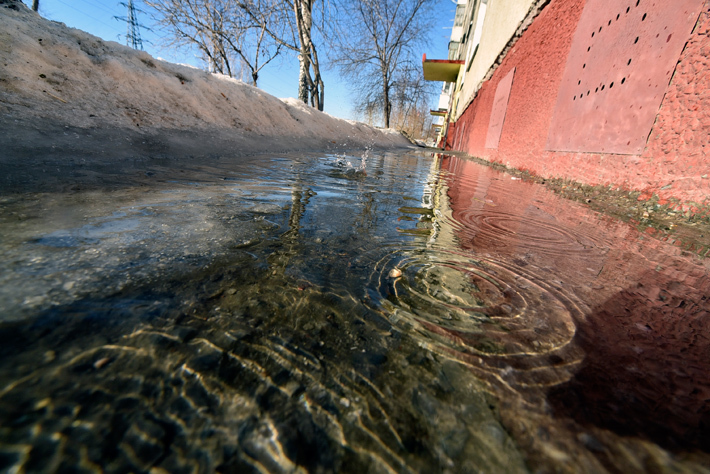 Фото Михаила ПЕРМИНА