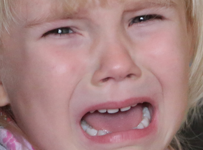 Фото Михаила ПЕРМИНА