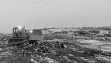 Фото предоставлены Управлением Россельхознадзора по НСО