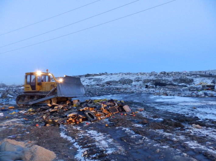 Фото предоставлены Управлением Россельхознадзора по НСО