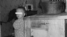 Фото из архива «Советской Сибири»