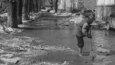 Фото Аркадия УВАРОВА