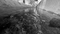 Фото Михаила ПЕРМИНА