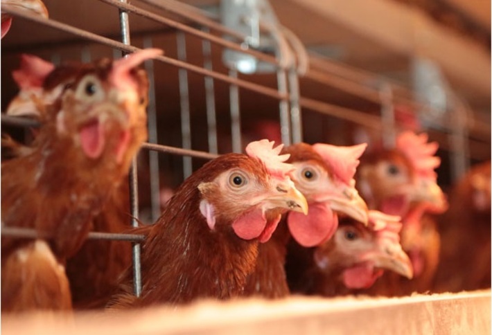 Фото Михаила ПЕРМИНА