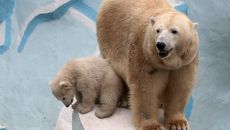 Фото Михаила ПЕРМИНА