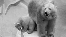 Фото Михаила ПЕРМИНА