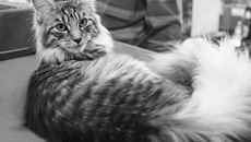 Фото Аркадия УВАРОВА