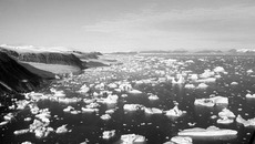 Фото с сайта mirkosmosa.ru