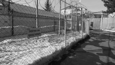 Фото Аркадия УВАРОВА