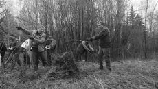 Фото предоставлено пресс-службой правительства НСО