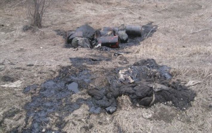 Фото предоставлено департаментом природных ресурсов и охраны окружающей среды НСО
