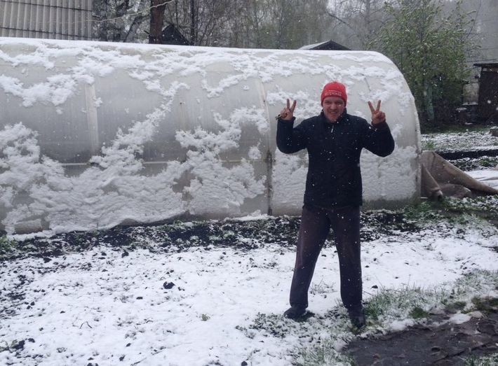 8 мая 2016 год. Дачный участок в Тогучинском районе НСО. Фото Михаила ПЕРМИНА