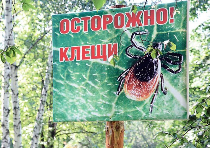 Фото Михаила ПЕРМИНА