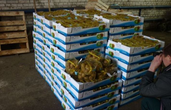 Фрукты не прошли фитосанитарный контроль и были уничтожены. Фото с сайта fsvps.ru